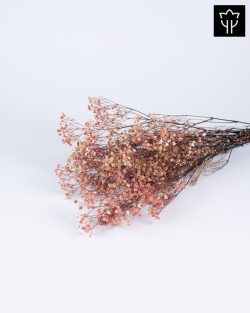 ΓΥΨΟΦΥΛΛΗ ΛΕΥΚΗ ΡΟΖ