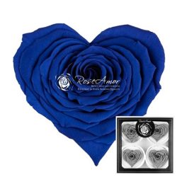Corazon Bella Blue 03