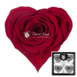 Corazon Bella Red 01