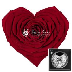 Corazon Red 01