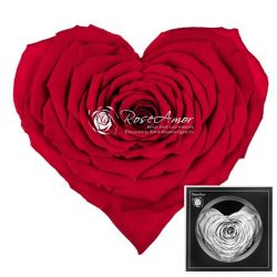 Corazon Red 02