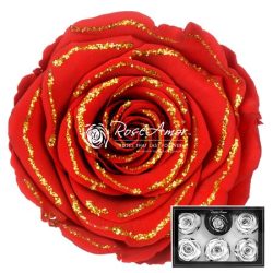 Xl Glitter Gold Red 02