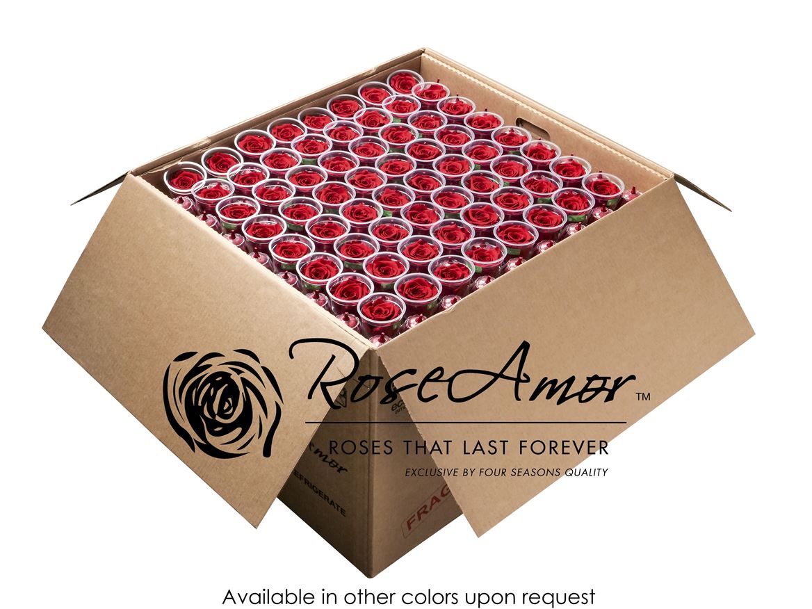 Lplus Bulk Red02