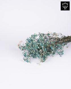 ΓΥΨΟΦΥΛΛΗ ΛΕΥΚΟ ΜΠΛΕ