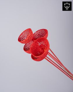 BELL CUP ΚΟΡΑΛΛΙ 5τμχ