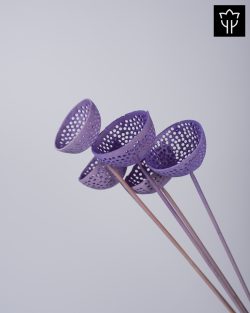 BELL CUP ΛΙΛΑ 5τμχ