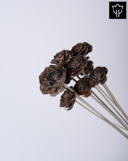 CEDAR ROSE ΣΚΟΥΡΟ ΚΑΦΕ ΜΠΛΕ 10τμχ