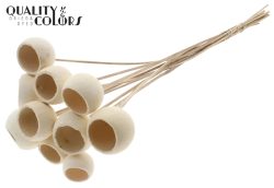 BELL CUP BLEACHED 5τμχ