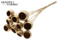 BELL CUP ΧΡΥΣΟ 5τμχ