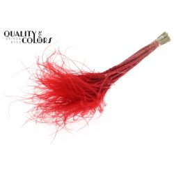 STYPHA PENATA ΚΟΚΚΙΝΟ 10τμχ