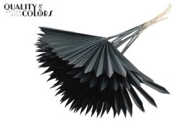 SUNSPEAR ΜΑΥΡΟ 5τμχ