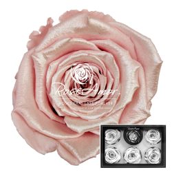 Xl Satin Strawberry Pink04