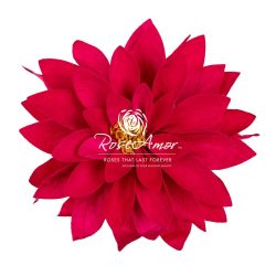 Dalia Pink 03