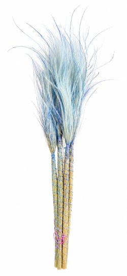 STYPHA PENATA ΓΚΡΙ ΓΑΛΑΖΙΟ 5ΤΜΧ