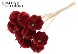 Velvet Pumpkin Red