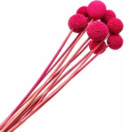CRASPEDIA FUCHSIA