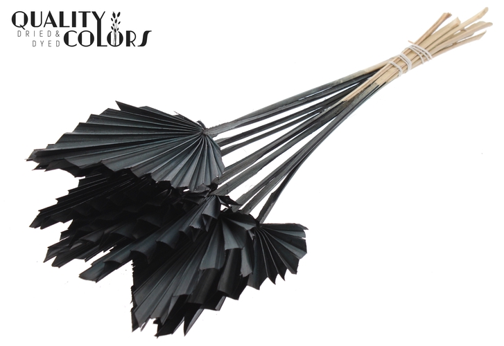 palm black