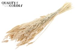 Dried Flower Mix Λευκό